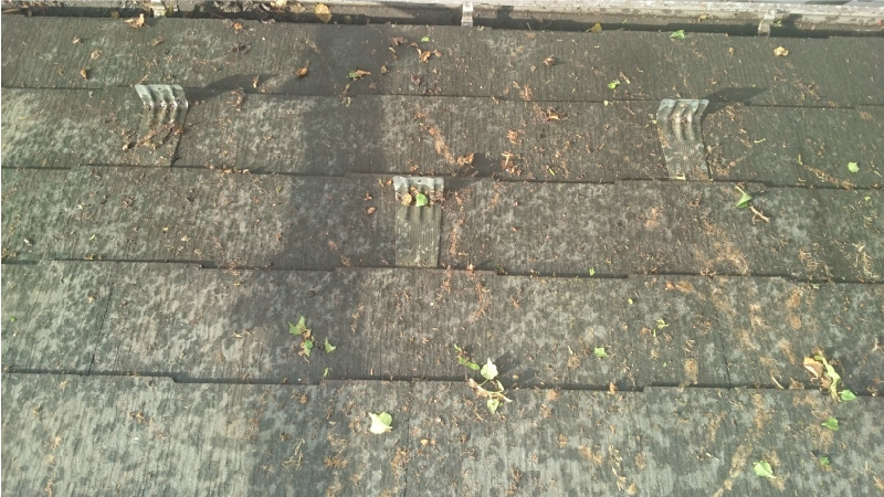 スレート屋根のツタの除去