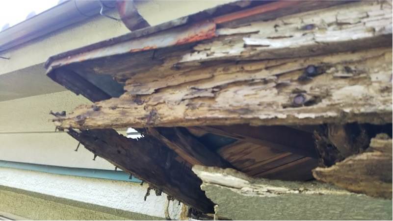 松戸市の屋根修理の既存屋根の解体