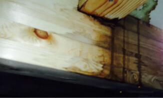 天井の木材が腐った写真