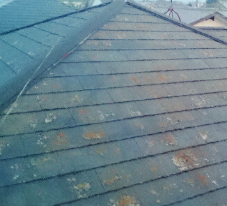 汚れた屋根の写真